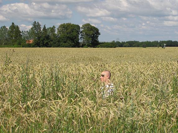 Bild