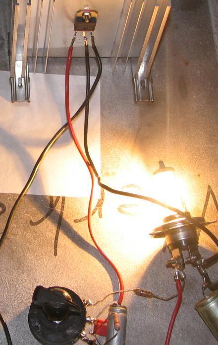 Bild